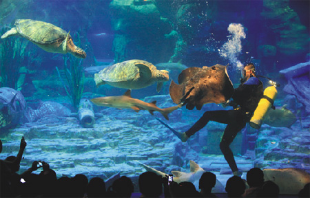 &beta;3(贝塔斯瑞,Beta Three)音响完成国内第6个海洋游览馆扩声