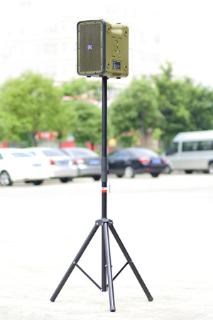 &beta;3(贝塔斯瑞,Beta Three)专业音响系统扬声东莞龙舟赛 