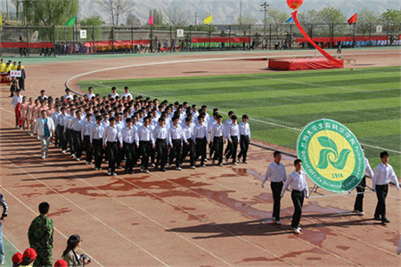 兰州大学体育场&mdash;&mdash;&beta;3(贝塔斯瑞,Beta Three)体育场音响扩声工程